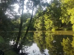 Mittelteich (Neugersdorf)-1