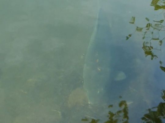 Technologiepark Ostfalen (Barleben)-2