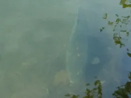 Technologiepark Ostfalen (Barleben)-2