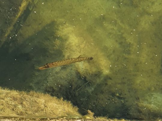 Technologiepark Ostfalen (Barleben)