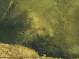 Technologiepark Ostfalen (Barleben)