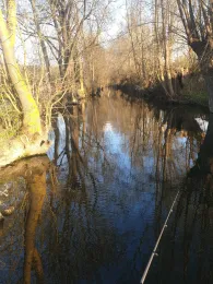 Tauber (Lauda-Königshofen)-2