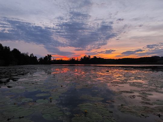 Guggenhauser Weiher-4