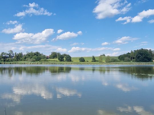 Guggenhauser Weiher-1