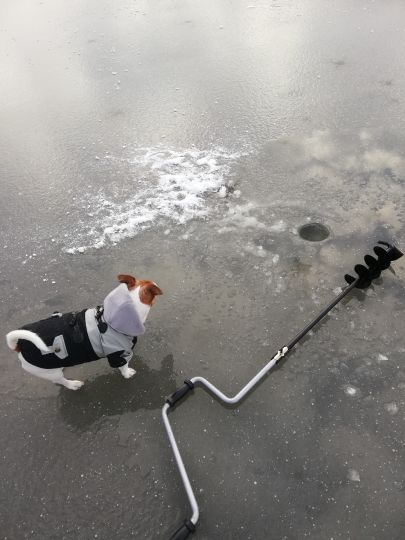Griebensee (Prödel)
