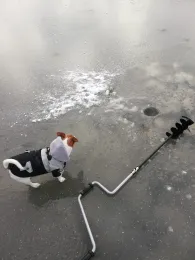 Griebensee (Prödel)