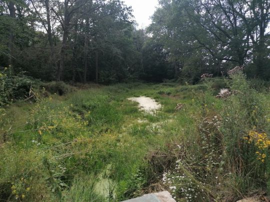 Schafbade (Erxleben)-1