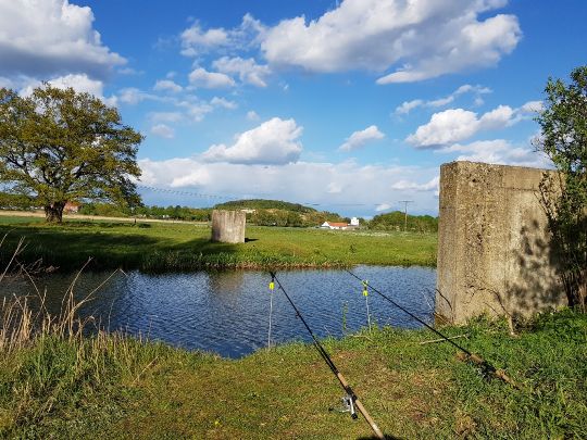 Innerste (Baddeckenstedt) ALLE ANGELN