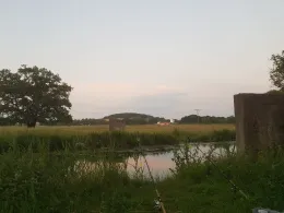 Innerste (Baddeckenstedt)-1