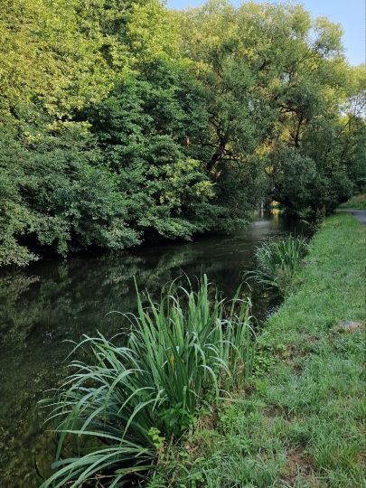 Sächsische Saale (Oberkotzau)-3