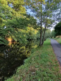 Sächsische Saale (Oberkotzau)-2