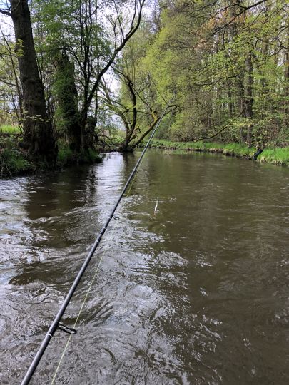 Sächsische Saale (Oberkotzau)-1