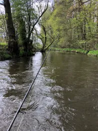 Sächsische Saale (Oberkotzau)-1