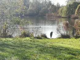 Wadeackersee-3