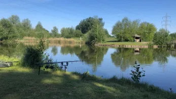 HSV de Hering (Schinveld)-1