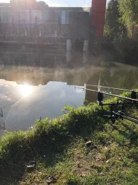 HSV de Hering (Schinveld)-3