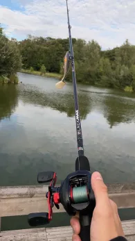 HSV de Hering (Schinveld)