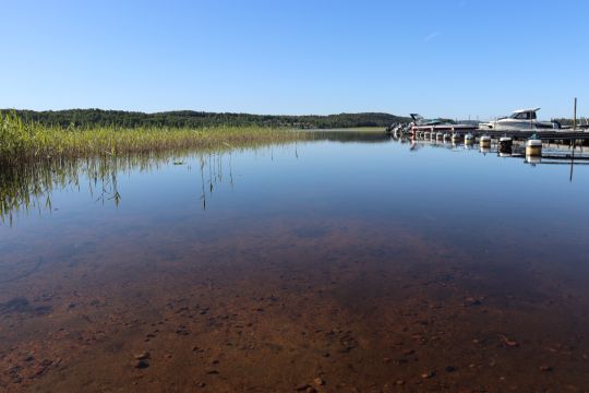 Östra Öresjön (Örby)-2