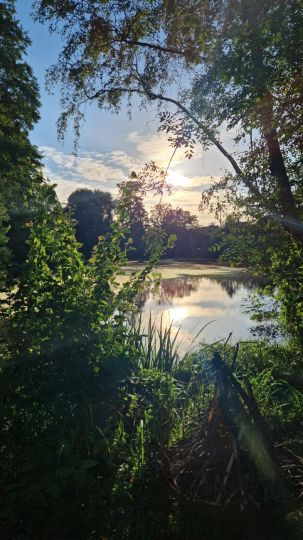 Pastorskuhlen (Rheurdt)-2