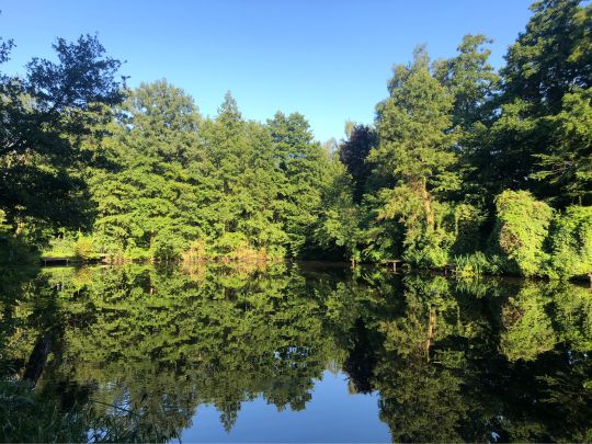 Pastorskuhlen (Rheurdt)-4