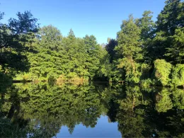 Pastorskuhlen (Rheurdt)-4