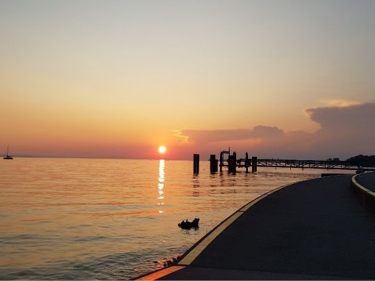Bodensee (Lochau)