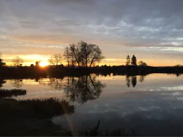 Bruchweiher Biblis-1