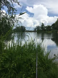 Bruchweiher Biblis-0