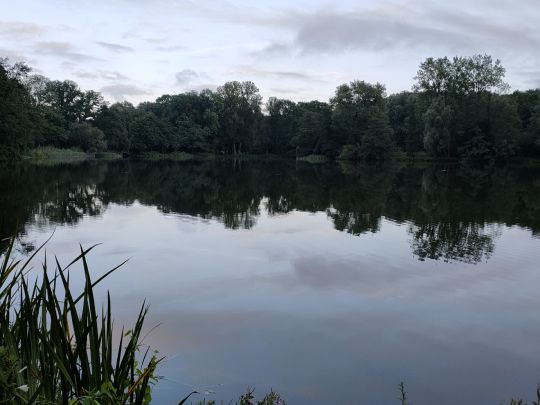 Annateich (Hannover)-3