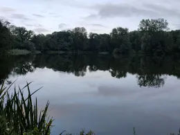 Annateich (Hannover)-3