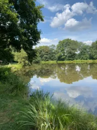 Weinbergteiche (Abtsdorf)-2