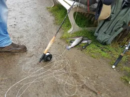 Forellenteich Rhoden