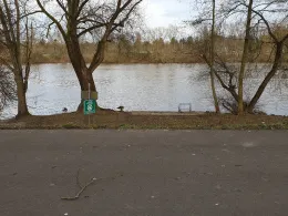 Main (Bischofsheim-Fechenheim)-4