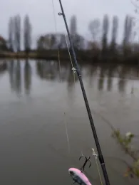 Main (Bischofsheim-Fechenheim)-2