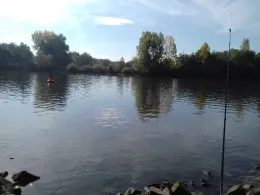 Main (Bischofsheim-Fechenheim)-3