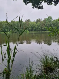 Angelteich Steinbeck-2