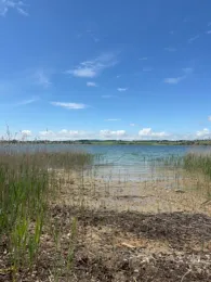 Wallersee (Seekirchen/AT)-4