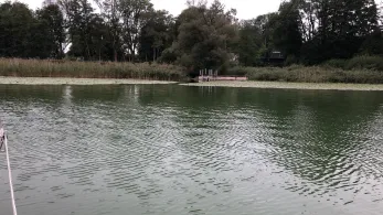 Wallersee (Seekirchen/AT)-3