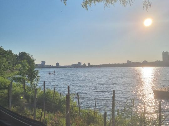 Charles River Lagoons (Boston)