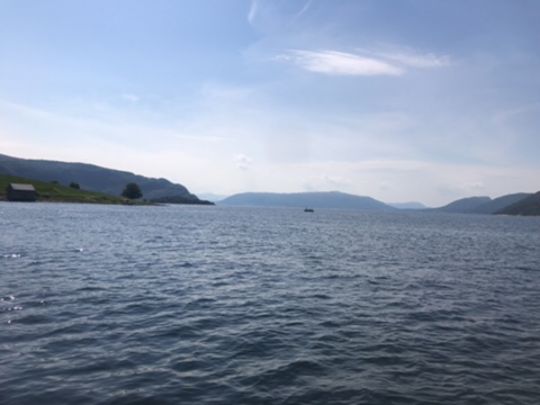 Hamnesfjorden