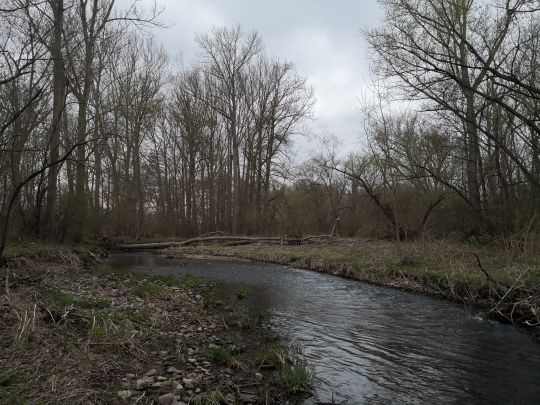 Apfelstädt (Drei Gleichen)