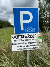 Großer Hohenfelder See-1