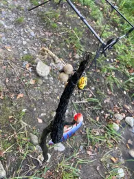 Großer Hohenfelder See