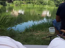 Frauensee (Frauensee)