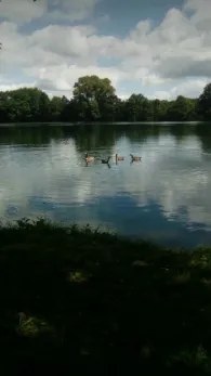 Großer Rensinger See-4