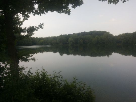 Großer Rensinger See-2