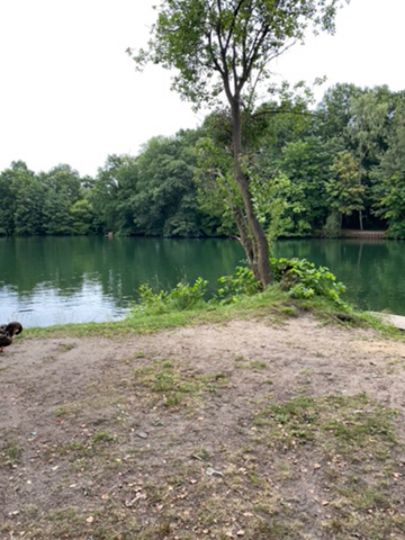 Großer Rensinger See-3