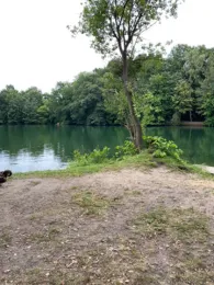 Großer Rensinger See-3