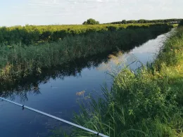 Tagliamento (Bibione)-3