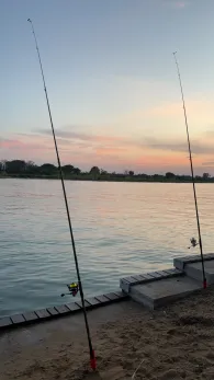 Tagliamento (Bibione)-2